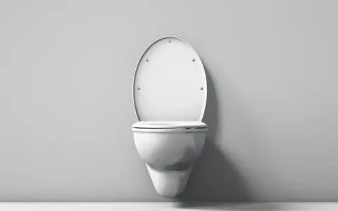 Biała, wisząca miska WC z otwartą klapą. Wykonana z duroplastu, który jest trwałym tworzywem.