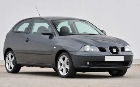 Grauer Seat Ibiza, Baujahr 2005, mit leichten Gebrauchsspuren. Ein typisches Modell, das manchmal Seat Ibiza Probleme aufweist.