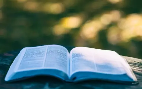 Ein aufgeschlagenes Buch liegt auf einem Tisch im Freien. Die Seiten sind mit Text gefüllt, der an Psalm 28 erinnert.