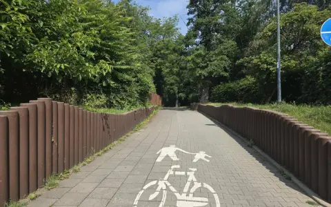 Ścieżka rowerowa w parku Młynówka Królewska, z zielenią po bokach i znakiem rowerzysty na kostce brukowej.