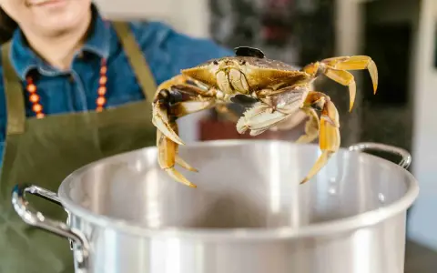 Osoba w fartuchu wkłada żywego kraba do parującego garnka. Czas dowiedzieć się, jak jeść kraba!