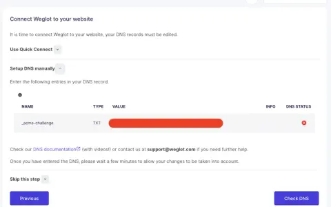 Manuelle Einrichtung des DNS-Eintrags für die Website-Verbindung. Ein TXT-Eintrag wird angezeigt.