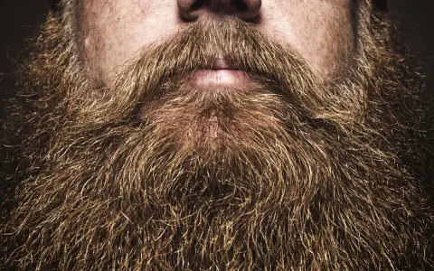 Primer plano de unas barbas hipster voluminosas y doradas, con un bigote tupido sobre unos labios entreabiertos.