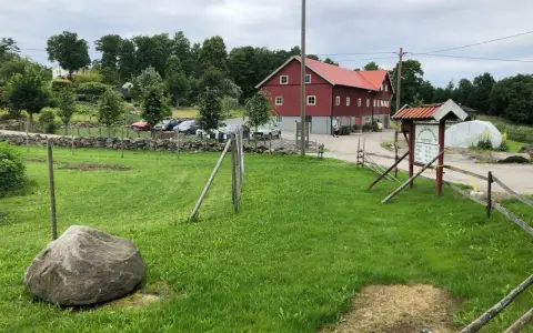 Grönskande gräsmatta med en stor sten framför en röd ladugård på Sammels lantgård. En skylt visar vägen till gårdskafé och butik.