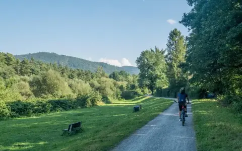 Osoba na rowerze przemierza malowniczą trasę rowerową Skoczów Wisła, otoczoną zielenią i wzgórzami.