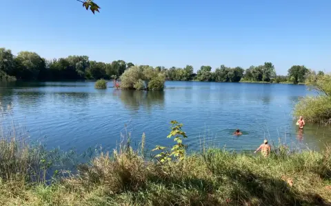 Sonniger Tag am Biebesheim See. Menschen genießen das kühle Wasser, umgeben von üppiger Vegetation und klarem Himmel.