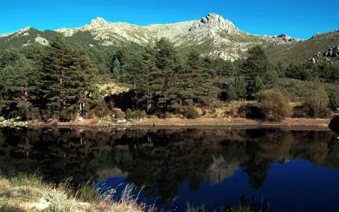 Reflejo perfecto de pinos y montañas en el lago, ideal para la barranca ruta circular.