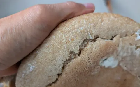 Eine Hand hält ein Brot, das Risse hat. Nächstes Mal gelingt das brot ohne risse backen bestimmt besser.