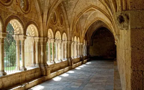 Sunlight streams through arched cloisters, hinting at the diverse types of monasteries and their serene courtyards.