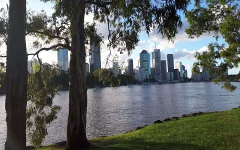 Vista del grande porto australiano con grattacieli sullo sfondo, alberi in primo piano e un fiume tranquillo.