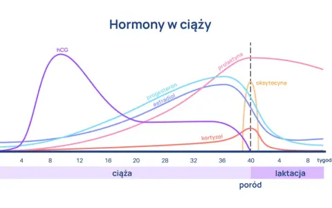 Progesteron po owulacji: Klucz do ciąży? Zrozum swoje wyniki