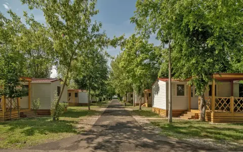 Alejka na hajdu camping, otoczona drzewami i białymi domkami z werandami.