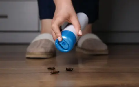 Mano con spray insecticida sobre cucarachas muertas en el suelo. Las cucarachas mudan la piel y crecen, pero estas ya no lo harán.