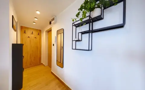 Mały nowoczesny przedpokój z drewnianą ścianą, czarną szafką i designerską półką z rośliną.