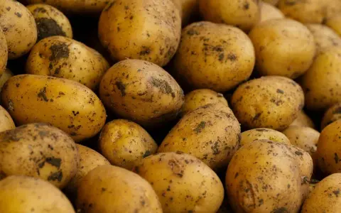 Góra ziemniaków, które po ugotowaniu z solą mają ok. 80 kcal na 100g.
