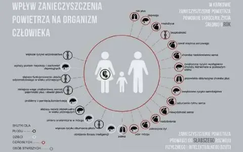 Jakie są skutki zanieczyszczeń? Szokujące efekty dla zdrowia i środowiska