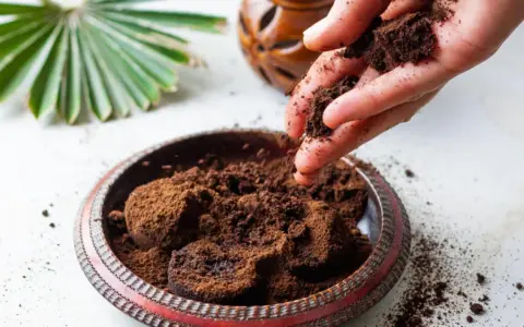Mano esparciendo posos de café para plantas en un cuenco. Un abanico de hoja verde y un recipiente de madera en el fondo.
