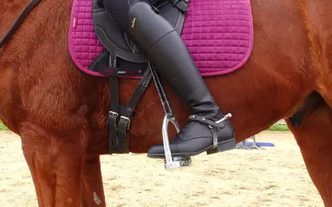 Jambes gainées sur un cheval bai, le pied dans l'étrier. Le cheval froid à la jambe semble prêt pour la leçon.