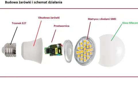 Rozłożona żarówka LED: trzonek E27, obudowa, przetwornica, matryca z diodami SMD i mleczny klosz. Poznaj budowę żarówki.