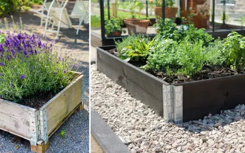En pallkrage med lavendel och en annan med örter visar hur fin samplantering pallkrage kan vara.
