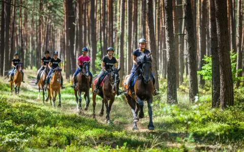 Grupa osób na koniach jedzie przez las.