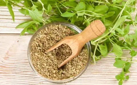 Suszone oregano w misce i świeże gałązki. Idealne do pizzy, sosów pomidorowych i dań kuchni śródziemnomorskiej. Oregano do jakich potraw? Do wszystkiego co pyszne!