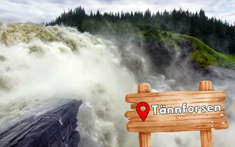 Tännforsen, en av Sveriges bästa vattenfallsvandringar, brusar fram. En träskylt markerar platsen.
