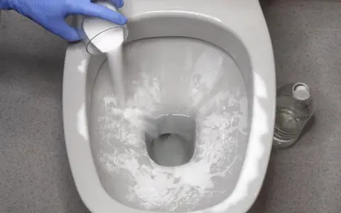 Rękawiczka w niebieskiej rękawiczce wsypuje proszek do muszli klozetowej, rozpoczynając czyszczenie muszli klozetowej.