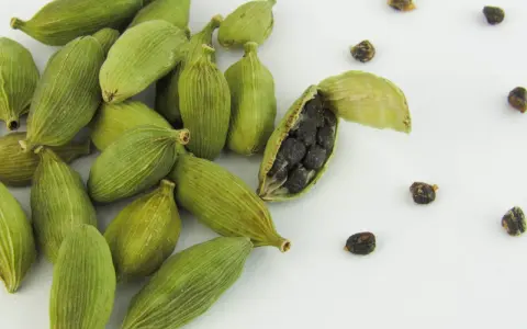 Gousses de cardamome verte, dont une ouverte révélant ses graines noires. Découvrez les cardamome bienfaits pour la santé et la cuisine.