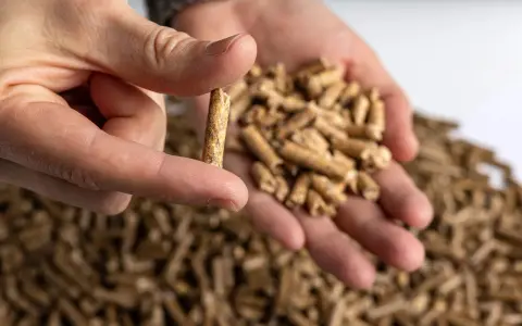 Un dedo sostiene un pellet, mostrando de qué está hecho el pellet: biomasa compactada. En la mano hay más pellets.