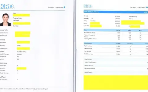 Darmowy raport KRD: Jak sprawdzić siebie i co dalej?