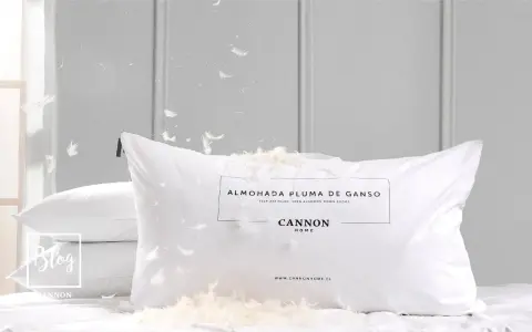 Almohadas de plumas son malas. Plumas flotan por todas partes, cubriendo la almohada Cannon Home.