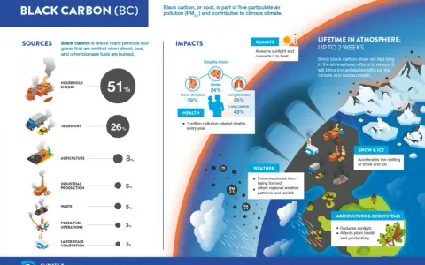 Schwarzer Kohlenstoff (Ruß) ist ein Teil der Luftverschmutzung (PM2.5) und trägt zum Klimawandel bei. Die Emissionen stammen aus Haushalten, Verkehr und Industrie.