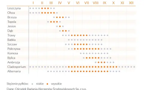 Kalendarz pylenia roślin: leszczyna, olsza, brzoza, topola, jesion, dąb, trawy, babka, szczaw, pokrzywa, komosa, bylica, ambrozja, Cladosporium, Alternaria. Sprawdź, co teraz pyli.