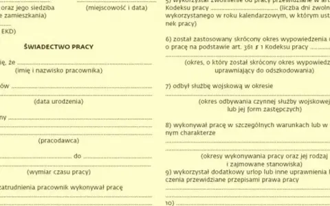 Świadectwo pracy w trakcie zatrudnienia? Kiedy to możliwe?