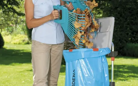 Kobieta zbiera liście do worka, realizując jesienny **pielęgnacja trawnika kalendarz**.
