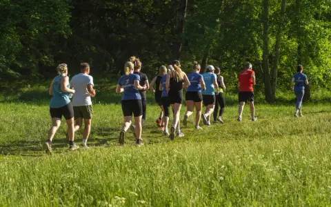 En grupp löpare njuter av roliga intervaller i en grönskande park.