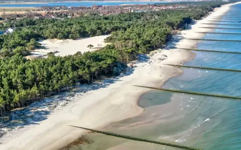 Piękna plaża w Rogowie z sosnowym lasem w tle i drewnianymi falochronami w morzu.