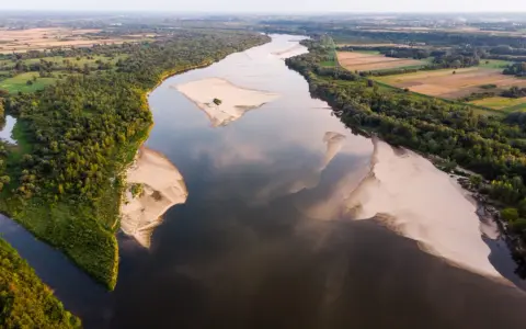 Szeroka Wisła, najdłuższa rzeka w Polsce, meandruje wśród zielonych lasów i piaszczystych łach.