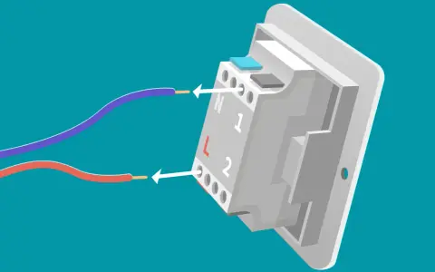 Schéma montrant comment connecter des fils à un nouveau dispositif pour changer interrupteur. Les fils rouge et violet sont guidés vers les bornes L et N.