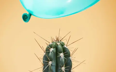 Un palloncino azzurro incombe su un cactus spinoso, metafora dei sintomi di una persona instabile.