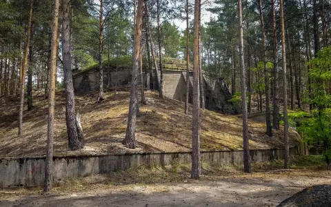 Betonowe bunkry w lesie, pozostałości po dag krzystkowice, porośnięte mchem i otoczone sosnami.