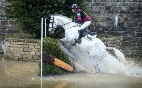 Cheval blanc sautant un obstacle d'eau lors d'un parcours de saut d'obstacle. L'eau éclabousse autour du cheval.
