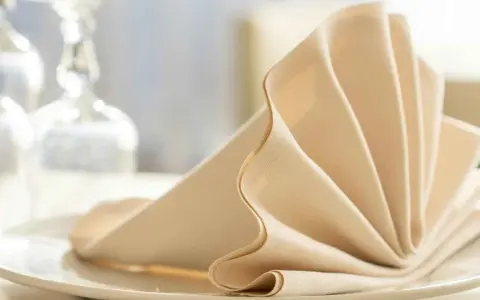Une serviette en tissu beige pliée en éventail sur une assiette blanche, évoquant un élégant dressage de table à la française.