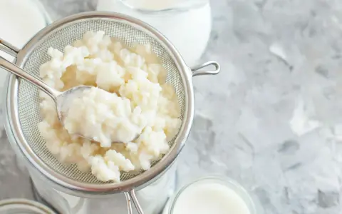 Körniger Kefir wird in einem Sieb abgetropft, bereit für die Zubereitung von Kefir-Joghurt oder einer cremigen, säuerlichen Beilage.