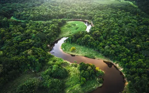 Un serpenteante río amazonas se abre paso entre la exuberante selva verde, un tapiz de vida salvaje y naturaleza virgen.