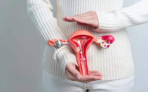 Model narządu rodnego kobiety w rękach, symbolizujący samobadanie szyjki macicy i dbanie o zdrowie.