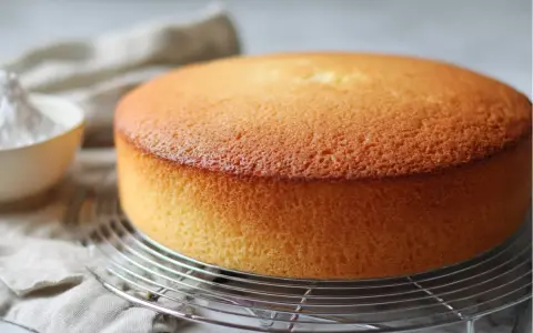 Un délicieux gâteau sans levure, doré et moelleux, refroidissant sur une grille. Une touche de sucre glace est visible dans un bol.