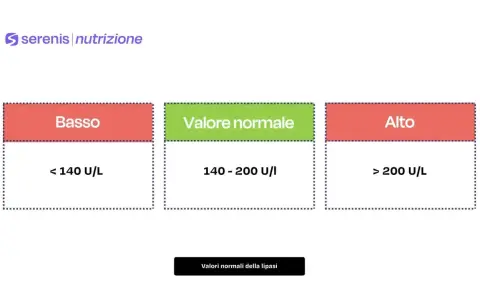 Grafico che illustra i valori normali della lipasi: basso (<140 U/L), normale (140-200 U/I) e alto (>200 U/L).