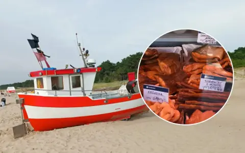 Czerwono-biała łódź na plaży. W okręgu widać ryby i tabliczki z cenami, np. "wyprawa na dorsza cennik".